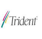 TRIDENT 3DImage975 Driver 5424
